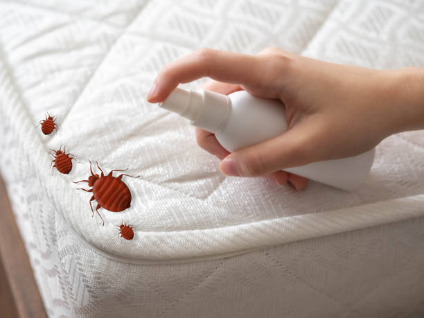 Best Bed Bug Extermination  in Greenland, AR